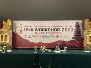 Ovag 2023 - Harga Sewa LED Screen Magelang 2023 - Harga Sewa LED Screen Magelang Murah